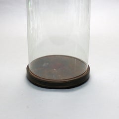 Oversized Antique Taxidermy Glass Display Dome with Wood Base C1890