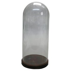 Oversized Antique Taxidermy Glass Display Dome with Wood Base C1890