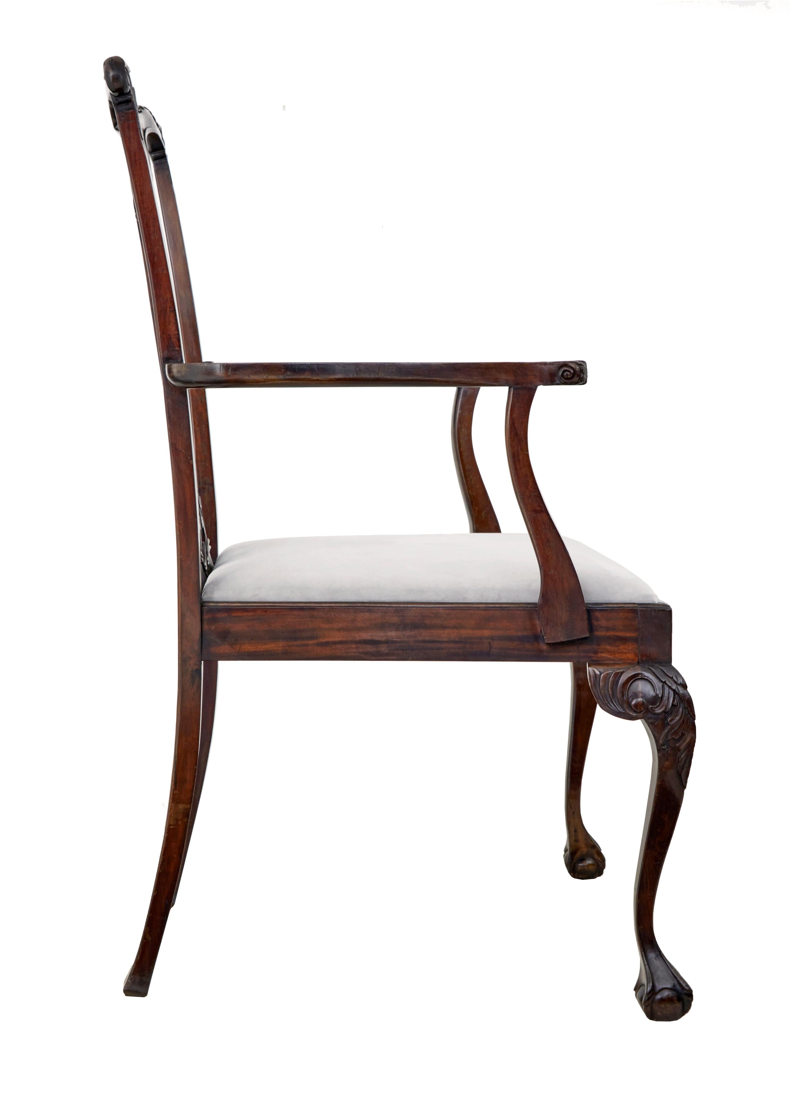 Hand-Carved Oversized Chippendale style mahogany display piece dining chair For Sale
