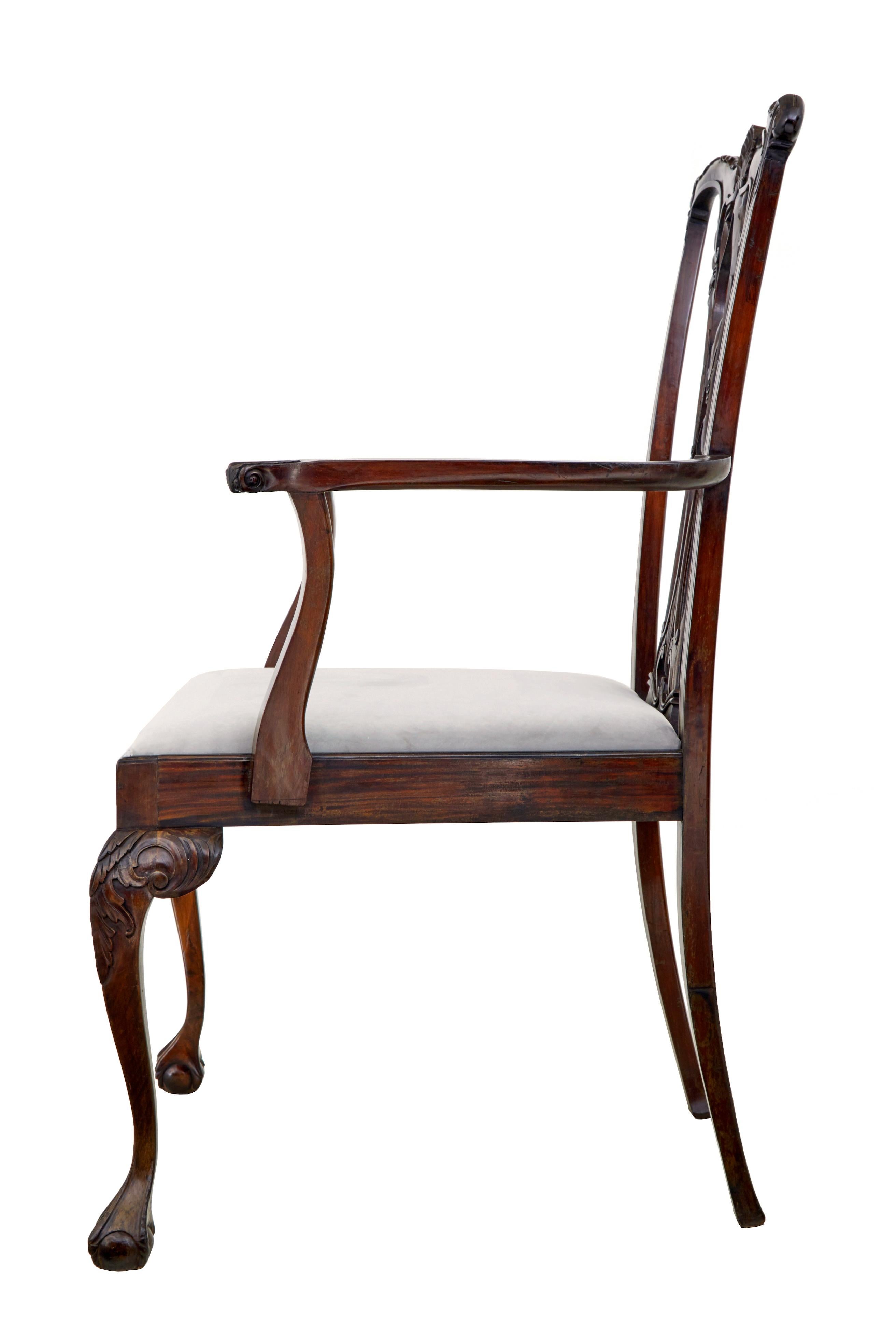 20th Century Oversized Chippendale style mahogany display piece dining chair For Sale