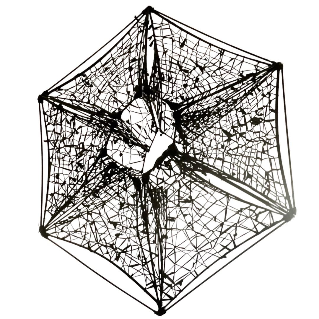 Extra Large Hanging Nidus Sculpture

6-Sided

Constructed of Bamboo, Dyed Silk, & Paint

3 Dimensional Open Hexagon

     Height: 72