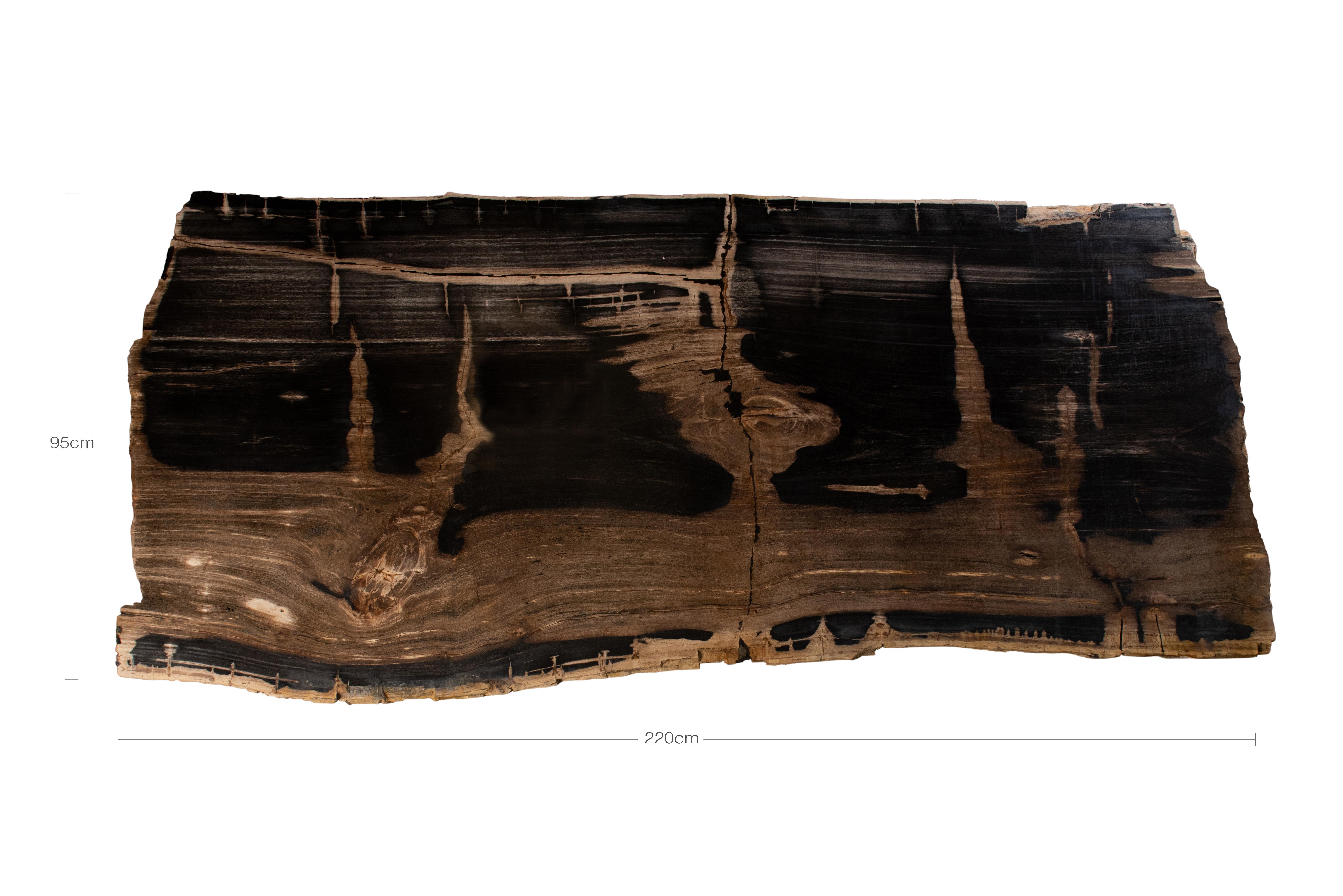 petrified wood table top slab