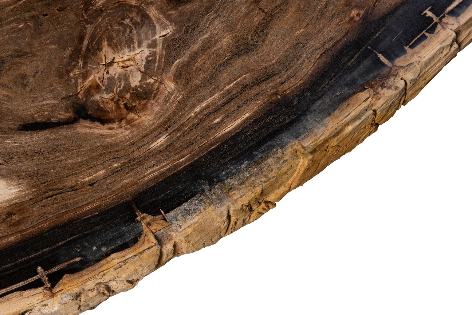 petrified wood table tops for sale