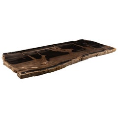 Oversized Live Edge Single Slab Petrified Wood Table Top