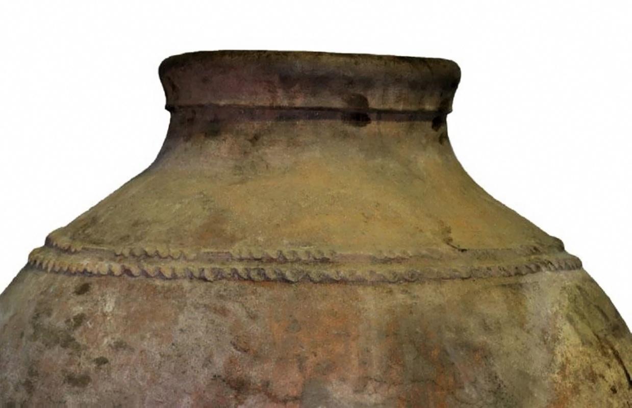 A very large Portuguese terracotta olive jar with corded frieze decoration, late 18th century. This wonderful piece can be used as garden ornament or planter, for indoor and outdoor use.
Dimensions: Height 51 inch / 130 cm
Diameter 31.50 inch / 80