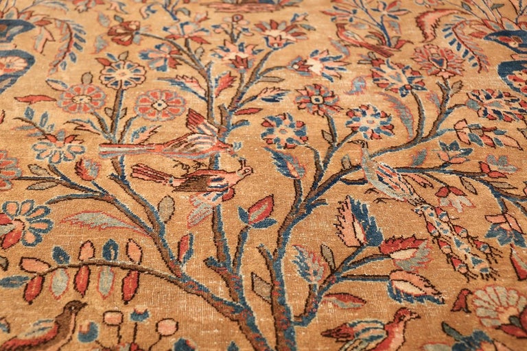 Oversized Tree of Life Design Antique Persian Kashan Rug For Sale at