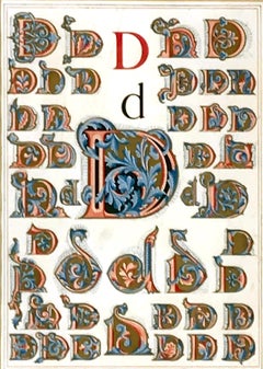 Initial Letters "D" (Alphabet)