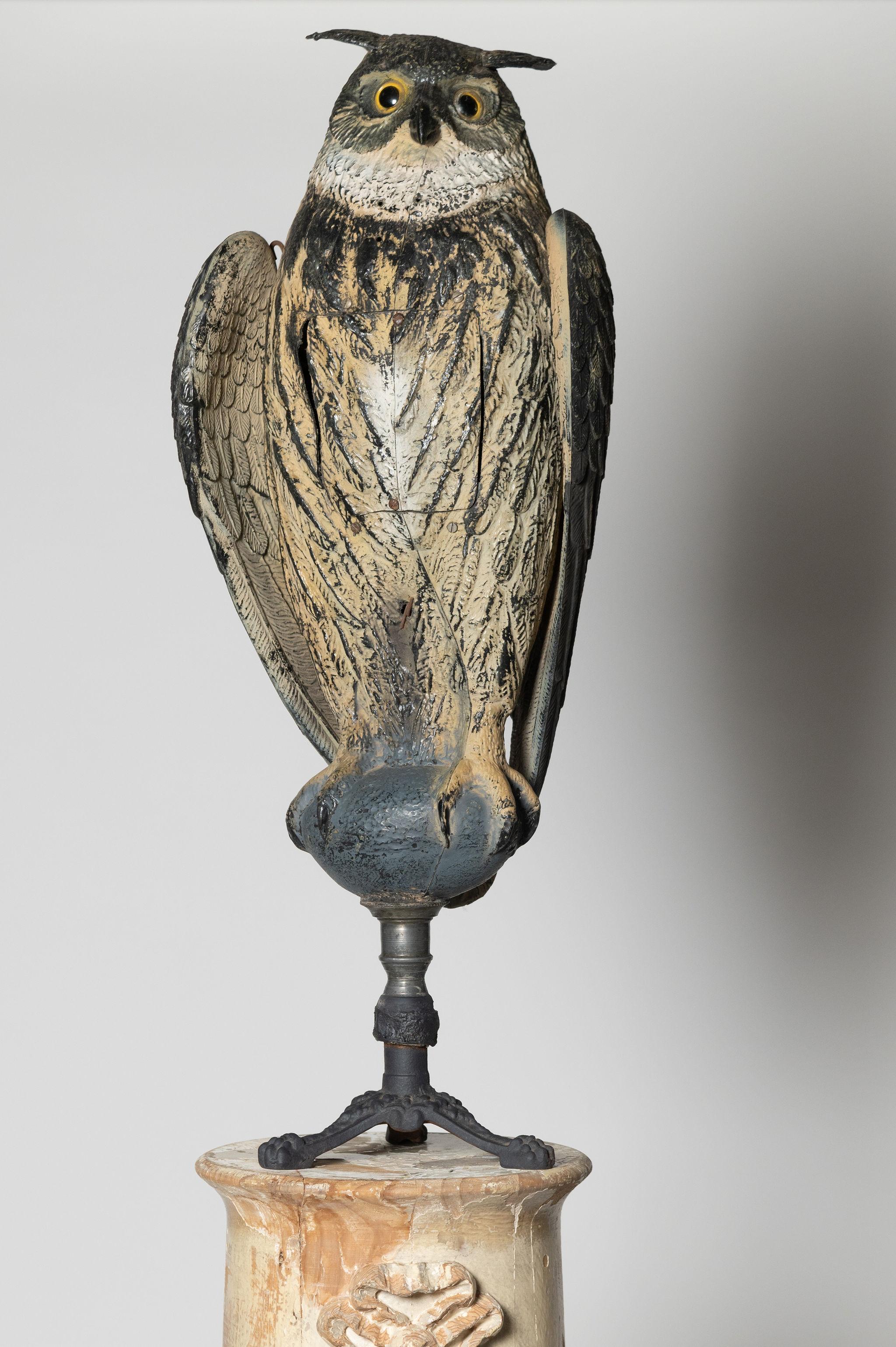 Owl bird scarer, decoy  For Sale 6