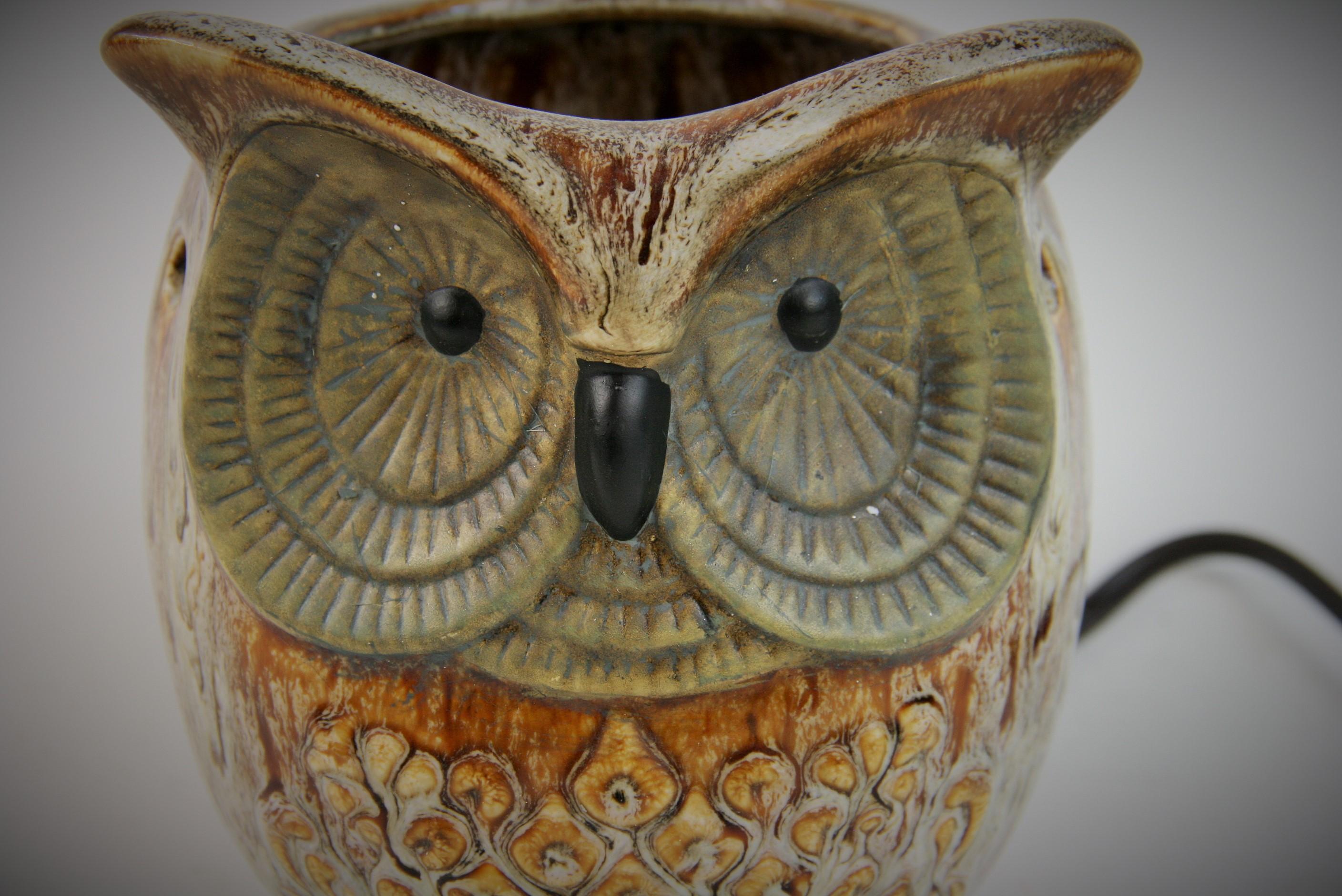 Late 20th Century Japanese Ceramic Owl  Night Light/Table Lamp
