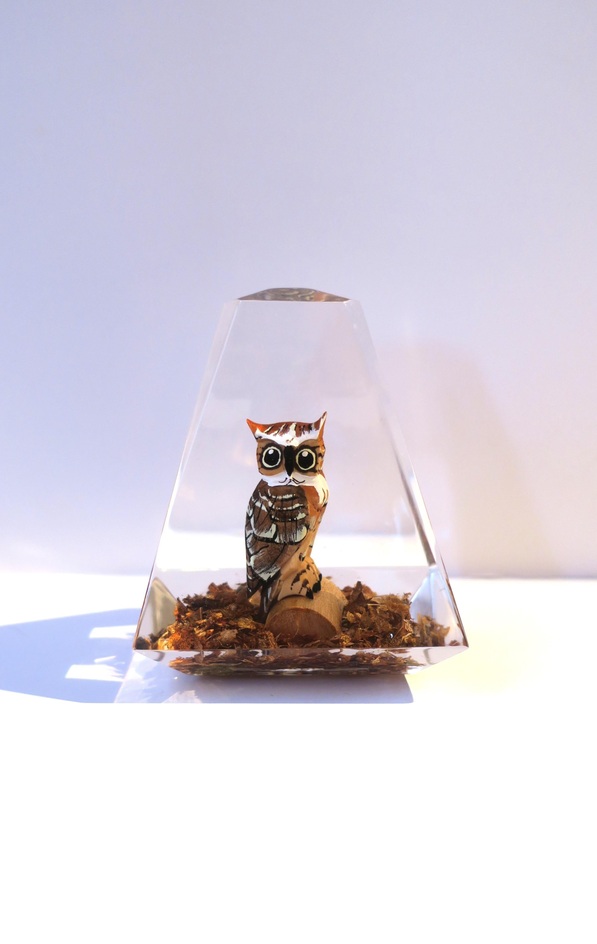 Modern Owl Lucite and Wood Sculpture  For Sale