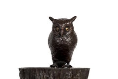 Owl on a Tree Stump
