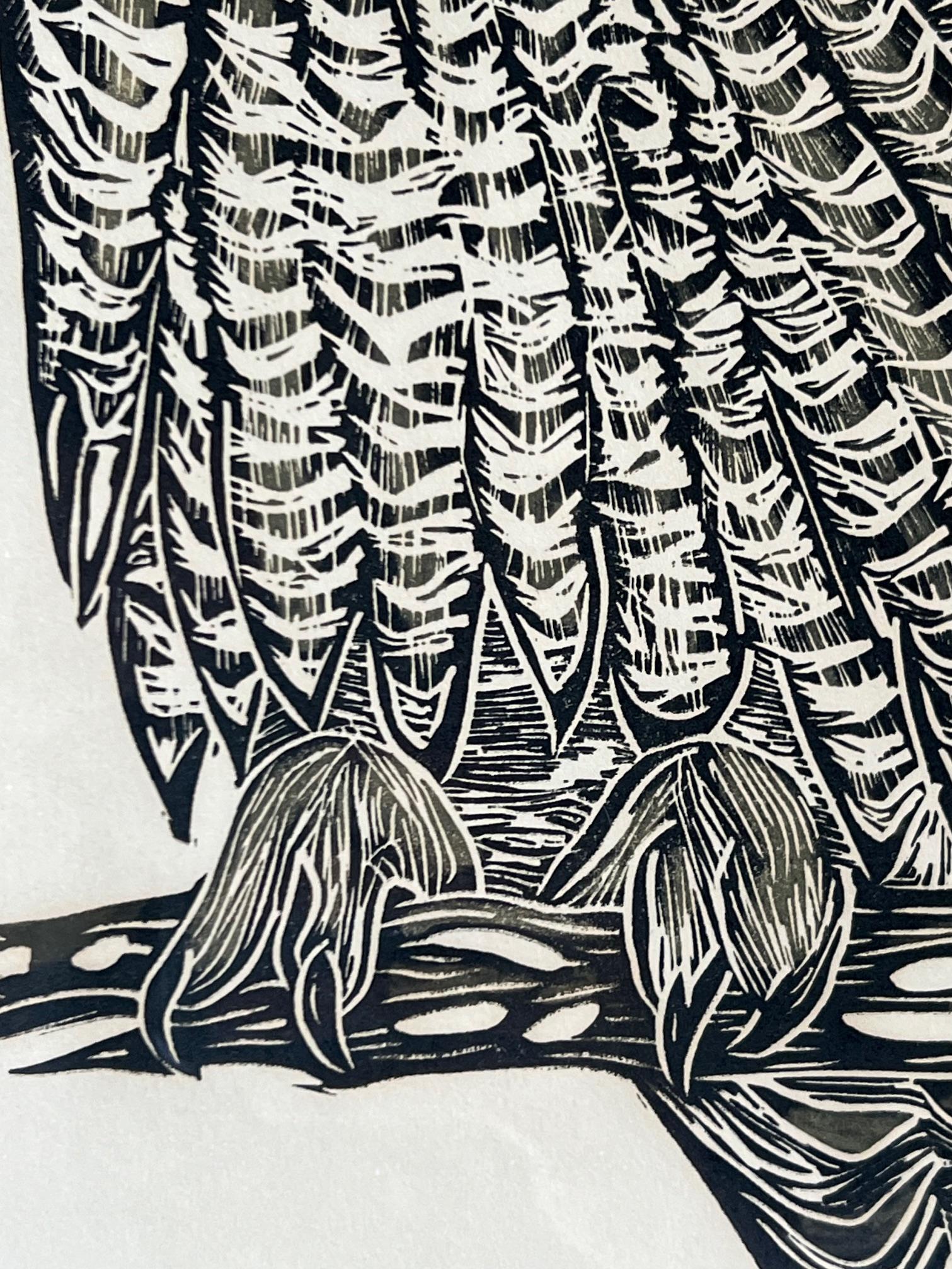 Gufo Stampa su legno firmata da Susan Acker, C.C. 1975 in vendita 2