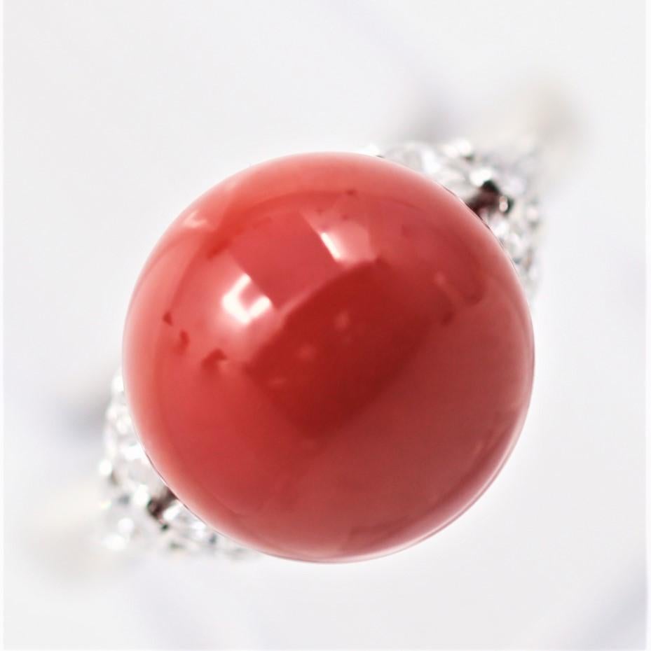 A simple yet fine platinum made ring featuring a 11.7mm round coral which has a rich red color known as “ox blood” in the trade. It is accented by 0.29 carats of diamonds set on its sides. Hand-fabricated in platinum and ready to be worn.  

Ring