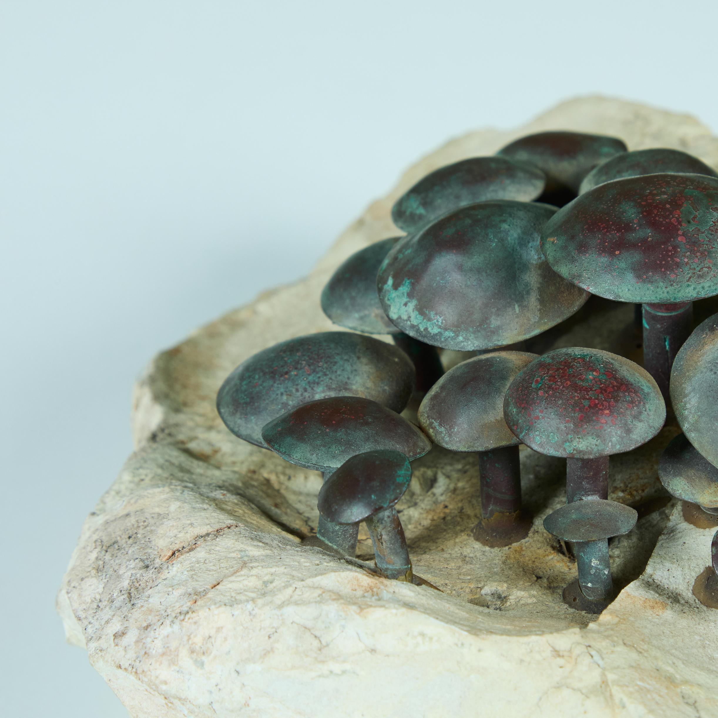 Scultura a fungo montata in bronzo ossidato in vendita 4