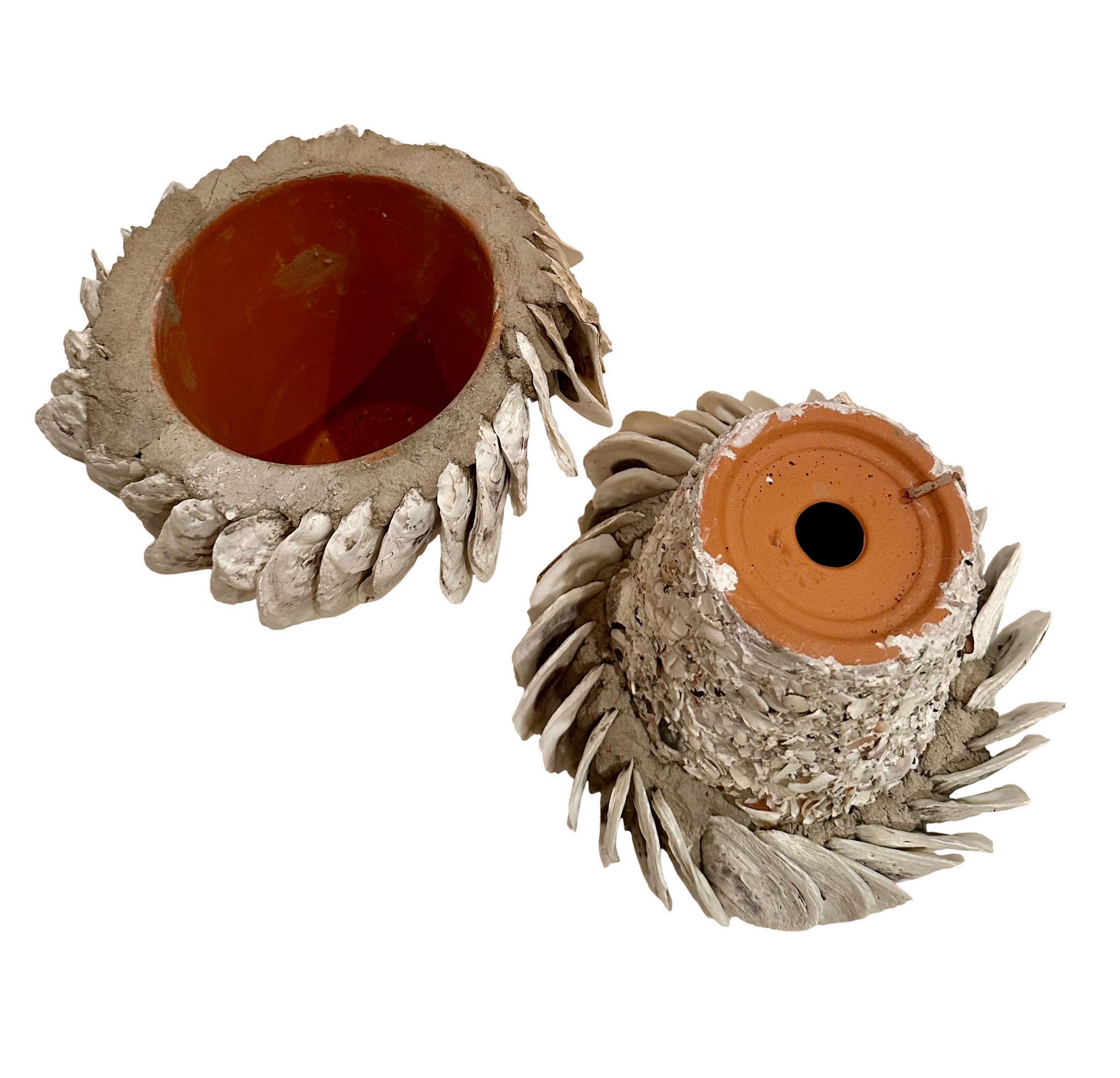 American Oyster and Seashell Flowerpots, Pair For Sale