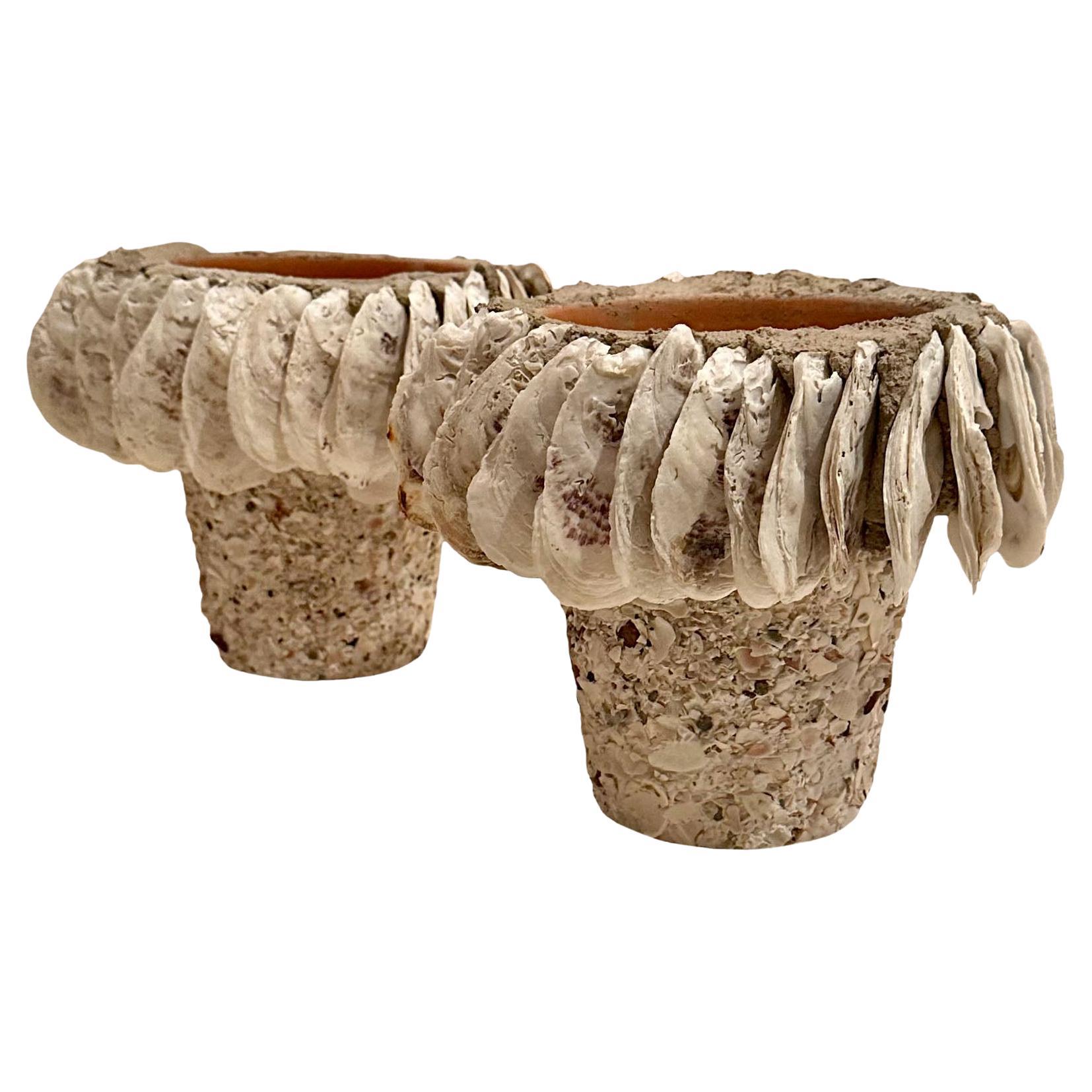 Oyster and Seashell Flowerpots, Pair For Sale