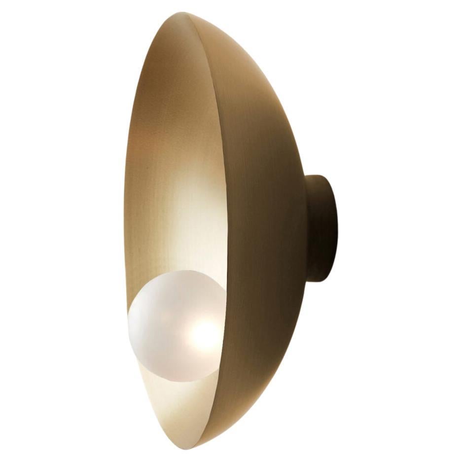Oyster Brushed Brass Ceiling Wall Mounted Lamp by Carla Baz For Sale