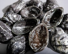 "Oyster" Contemporary Shot Vessel by Studio Moriaon for General Life