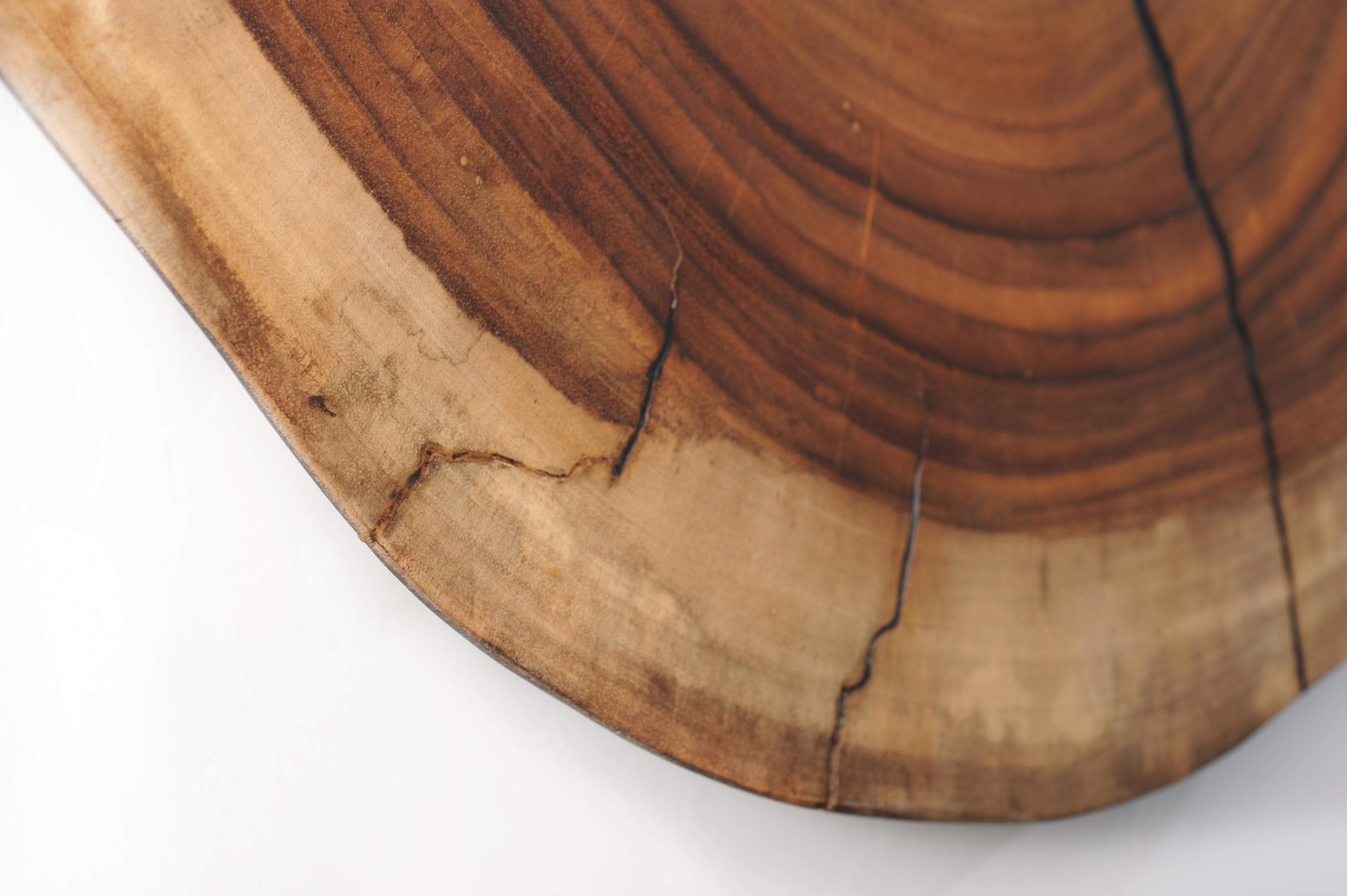 Rustico Decorazione da parete in legno e vetro Oysterz in vendita