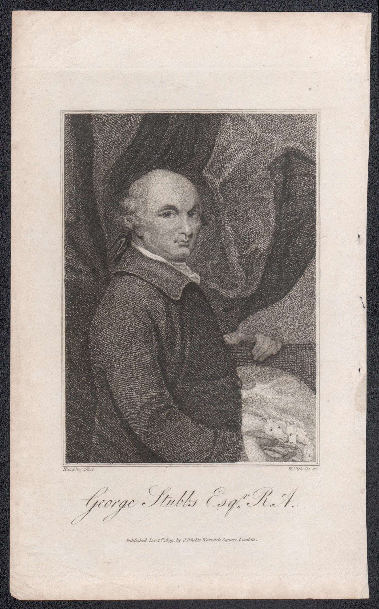 George Stubbs Esq, artista pittore del XIX secolo, ritratto incisione stampa - Print di Ozias Humphrey RA