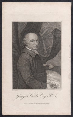 George Stubbs Esq, 19th century artist painter portrait engraving print