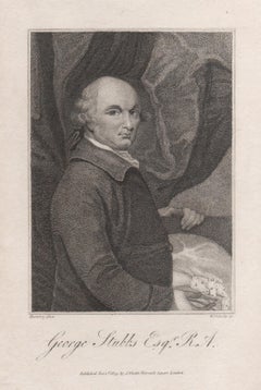 George Stubbs Esq, 19th century artist painter portrait engraving print