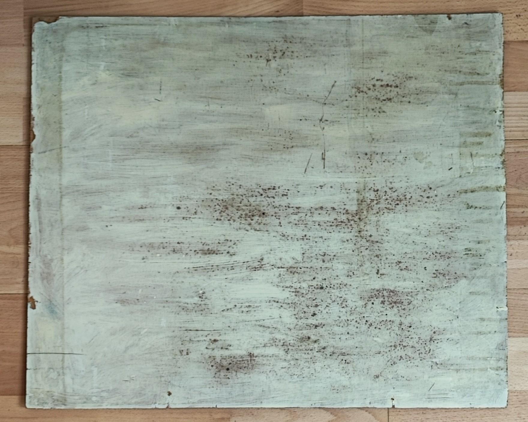 Berglandschaft und verschneite Tanne im Angebot 6