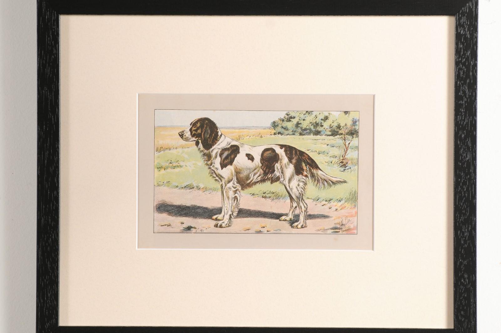 P. Mahler Custom Framed Lithographs Depicting Hunting Dogs in Outdoor Scenes 5