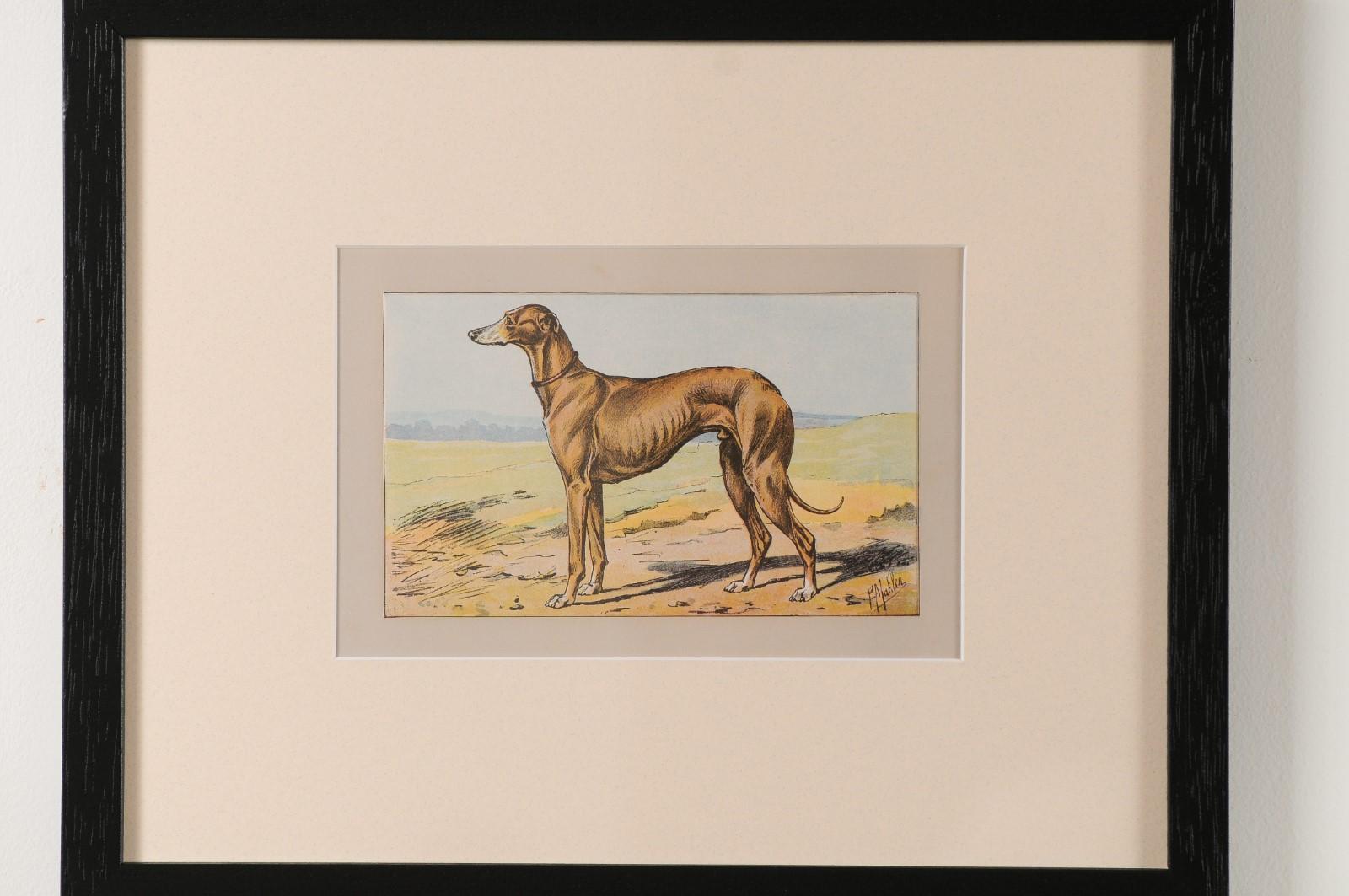 P. Mahler Custom Framed Lithographs Depicting Hunting Dogs in Outdoor Scenes 8