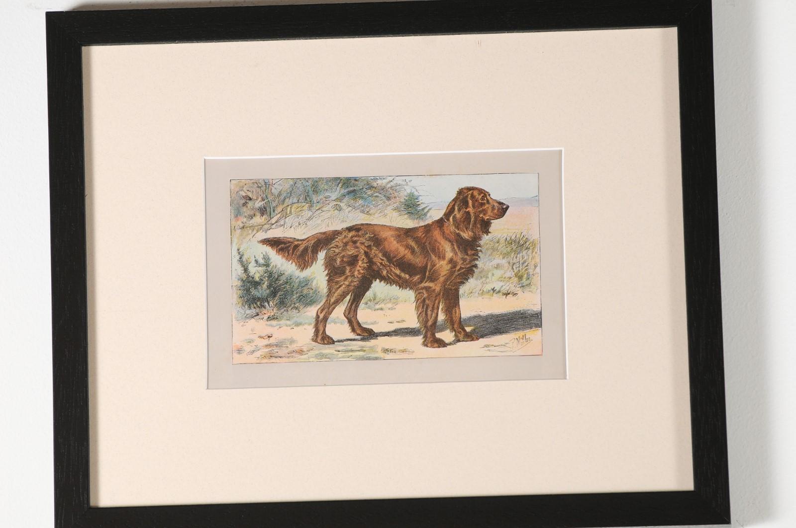 P. Mahler Custom Framed Lithographs Depicting Hunting Dogs in Outdoor Scenes 9