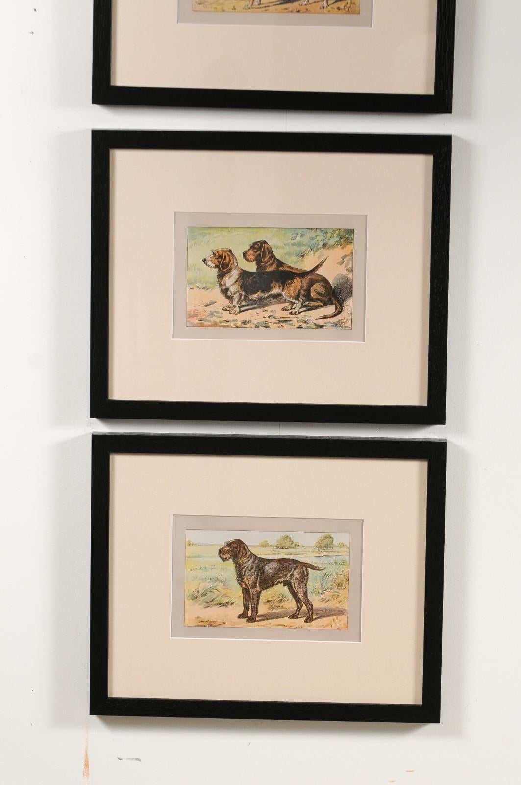 P. Mahler Custom Framed Lithographs Depicting Hunting Dogs in Outdoor Scenes 10