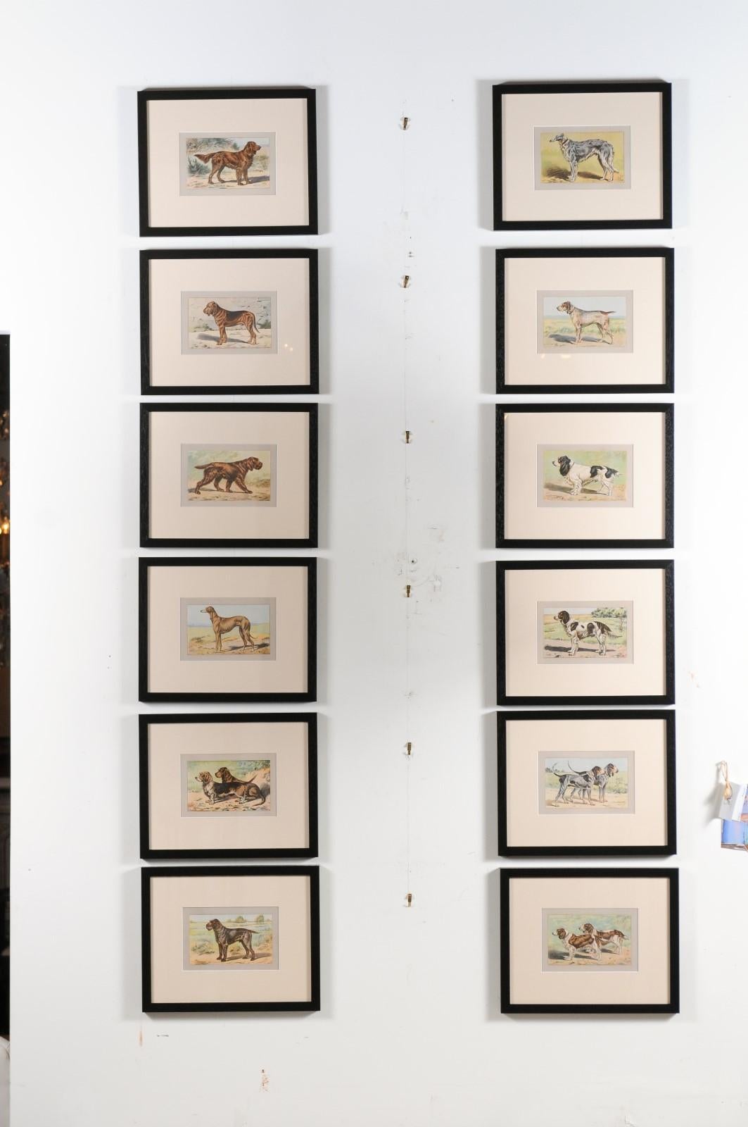 11 P. Mahler dog lithograph prints from the 20th century, in black frames, sold $495 each. Created by German artist P. Mahler for a book entitled Les Chiens le Gibier et Ses Ennemis (The Dogs, the Game and their Enemies), published by Mimard &