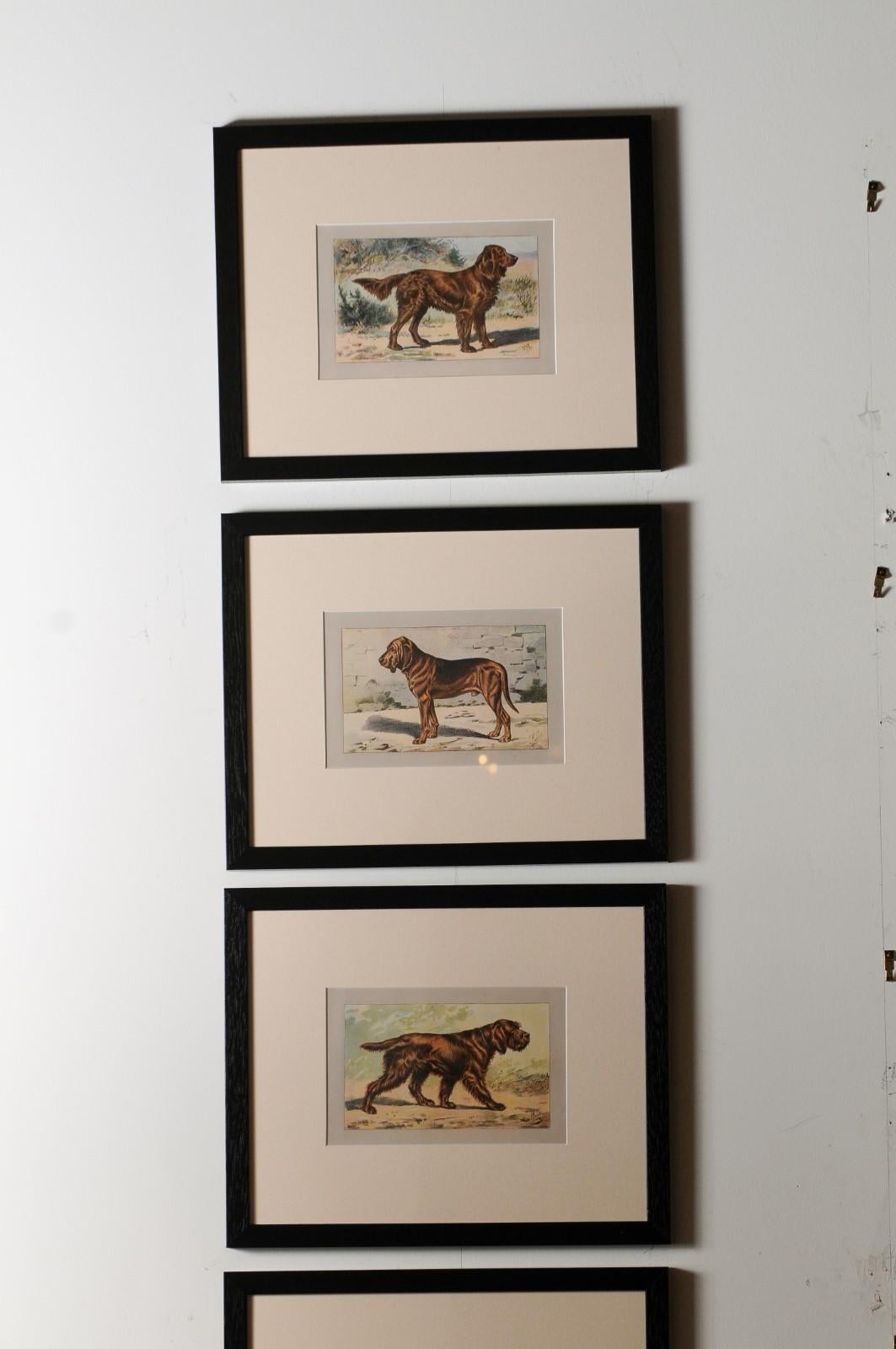 P. Mahler Custom Framed Lithographs Depicting Hunting Dogs in Outdoor Scenes In Good Condition In Atlanta, GA