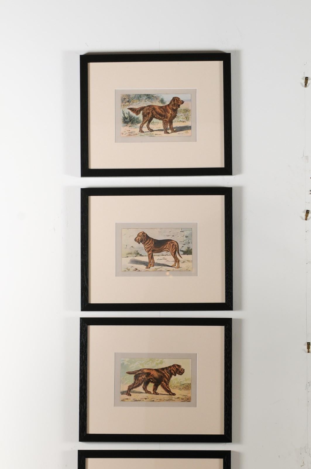 20th Century P. Mahler Custom Framed Lithographs Depicting Hunting Dogs in Outdoor Scenes