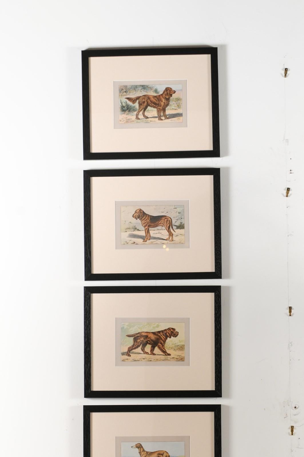 P. Mahler Custom Framed Lithographs Depicting Hunting Dogs in Outdoor Scenes 2