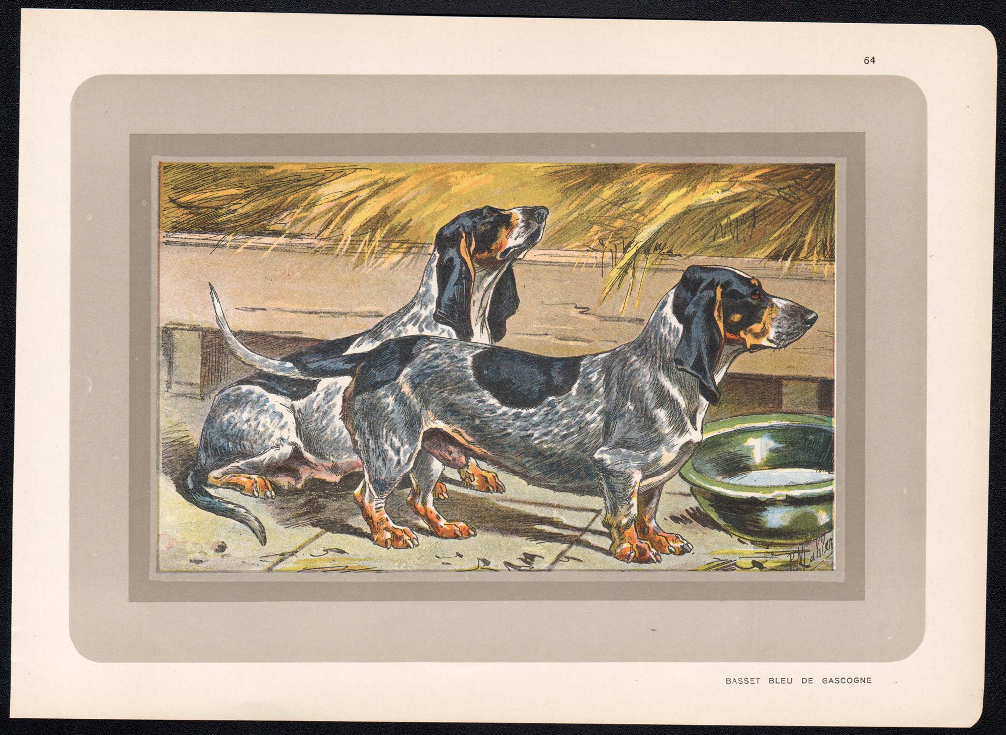 Basset Bleu de Gascogne, French hound dog chromolithograph print, 1930s - Print by P. Mahler