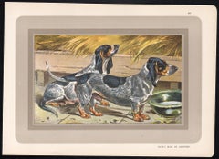 Basset Bleu de Gascogne, French hound dog chromolithograph print, 1930s
