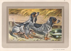 Basset Bleu de Gascogne, French hound dog chromolithograph print, 1930s