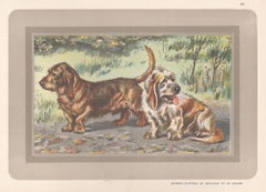 Bassets Griffons, French hound dog chromolithograph print, 1930s