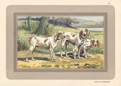 Vintage Chiens de Porcelaine, French hound, dog chromolithograph, 1930s