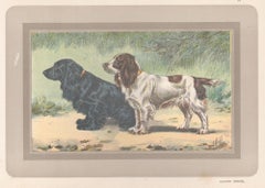 Cocker Spaniel, French hound dog chromolithograph print, 1931