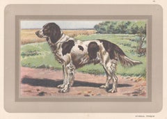 French Spaniel, French hound dog chromolithograph print, 1930s