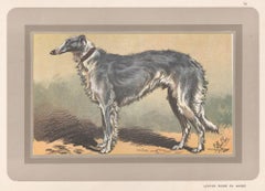 Russian Greyhound or Borzoi, French hound dog chromolithograph print, 1930s