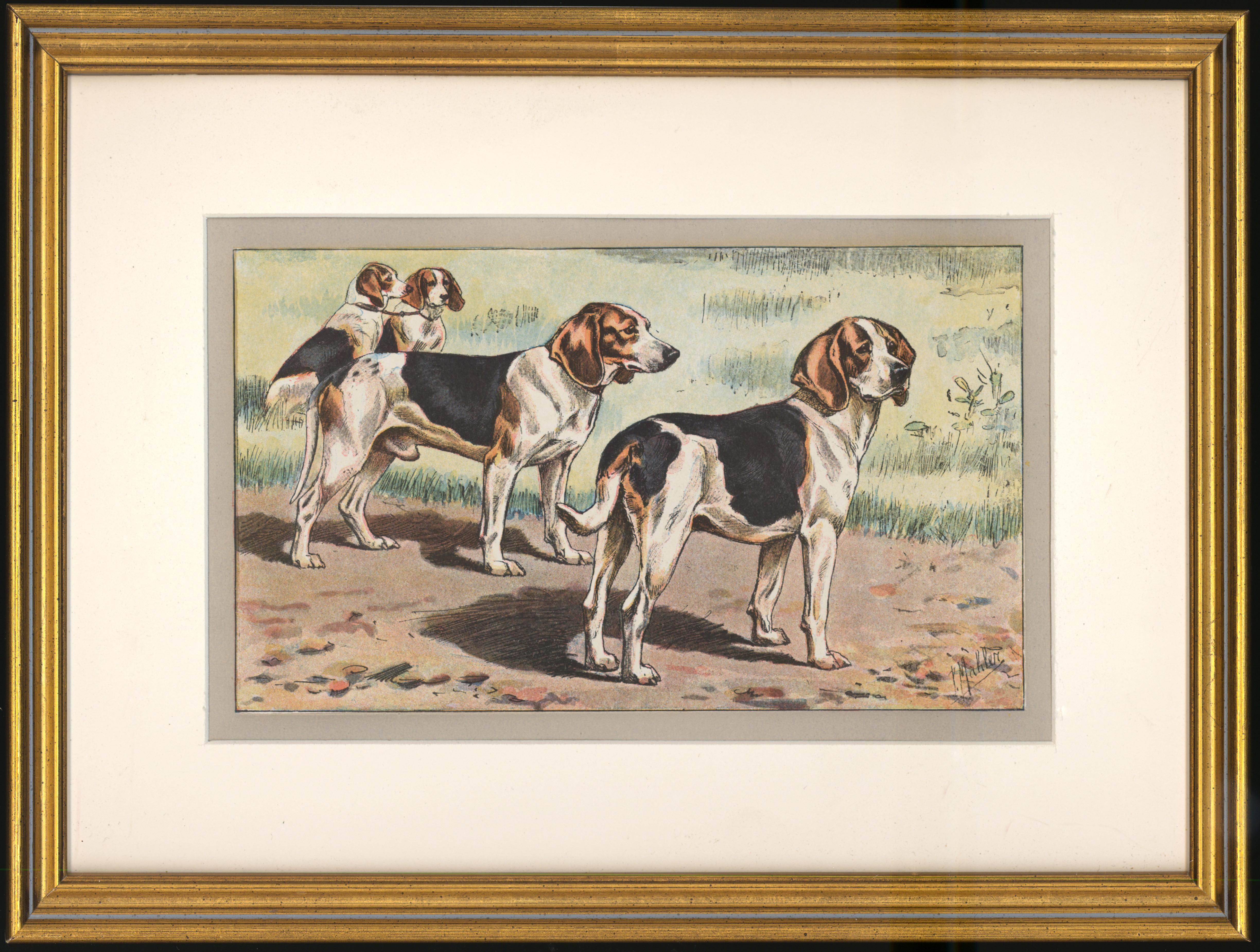 P. Mahler Animal Print - Beagle