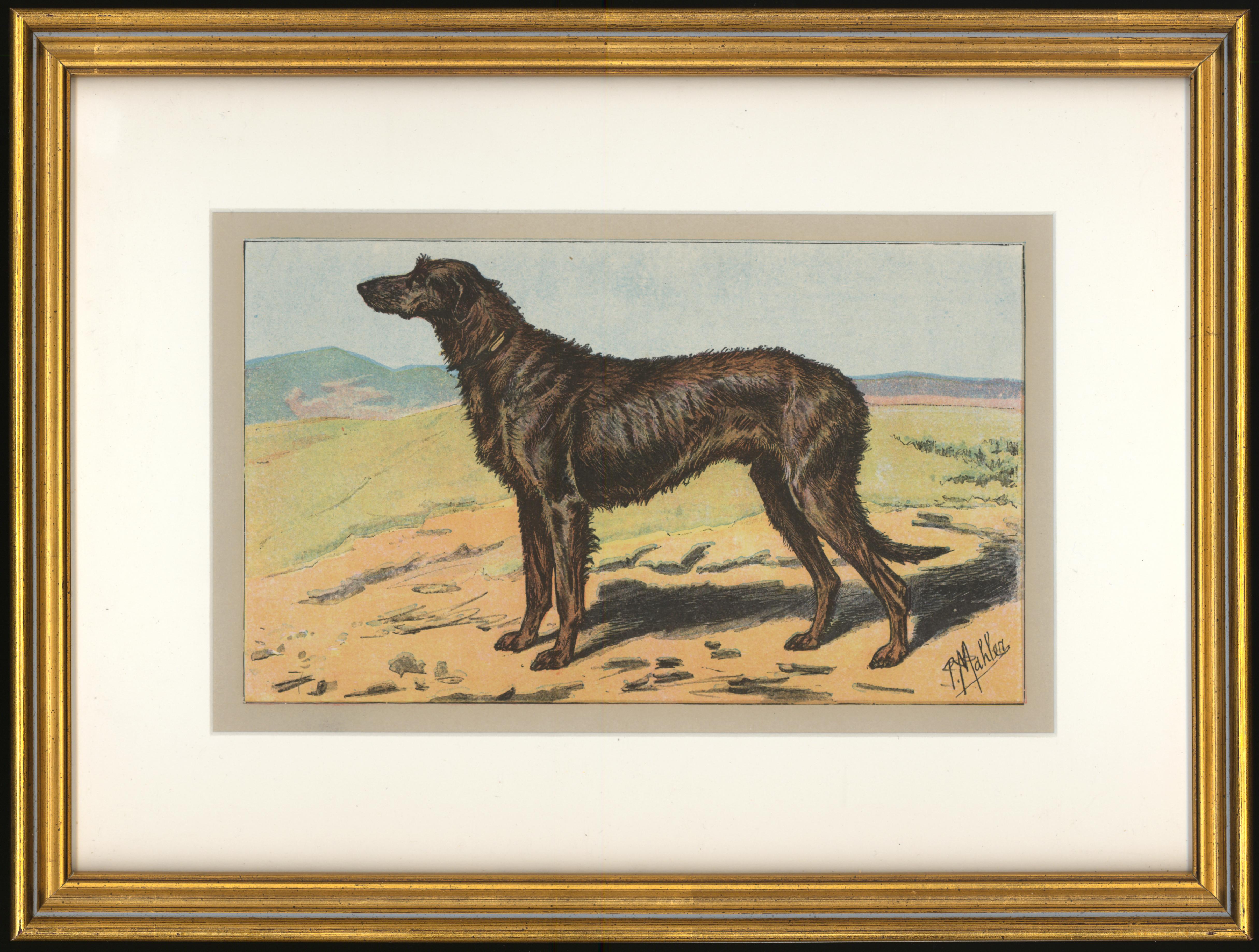 P. Mahler Animal Print - Wolfhound