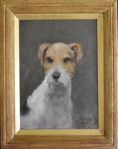 Un fox-terrier à poil dur
