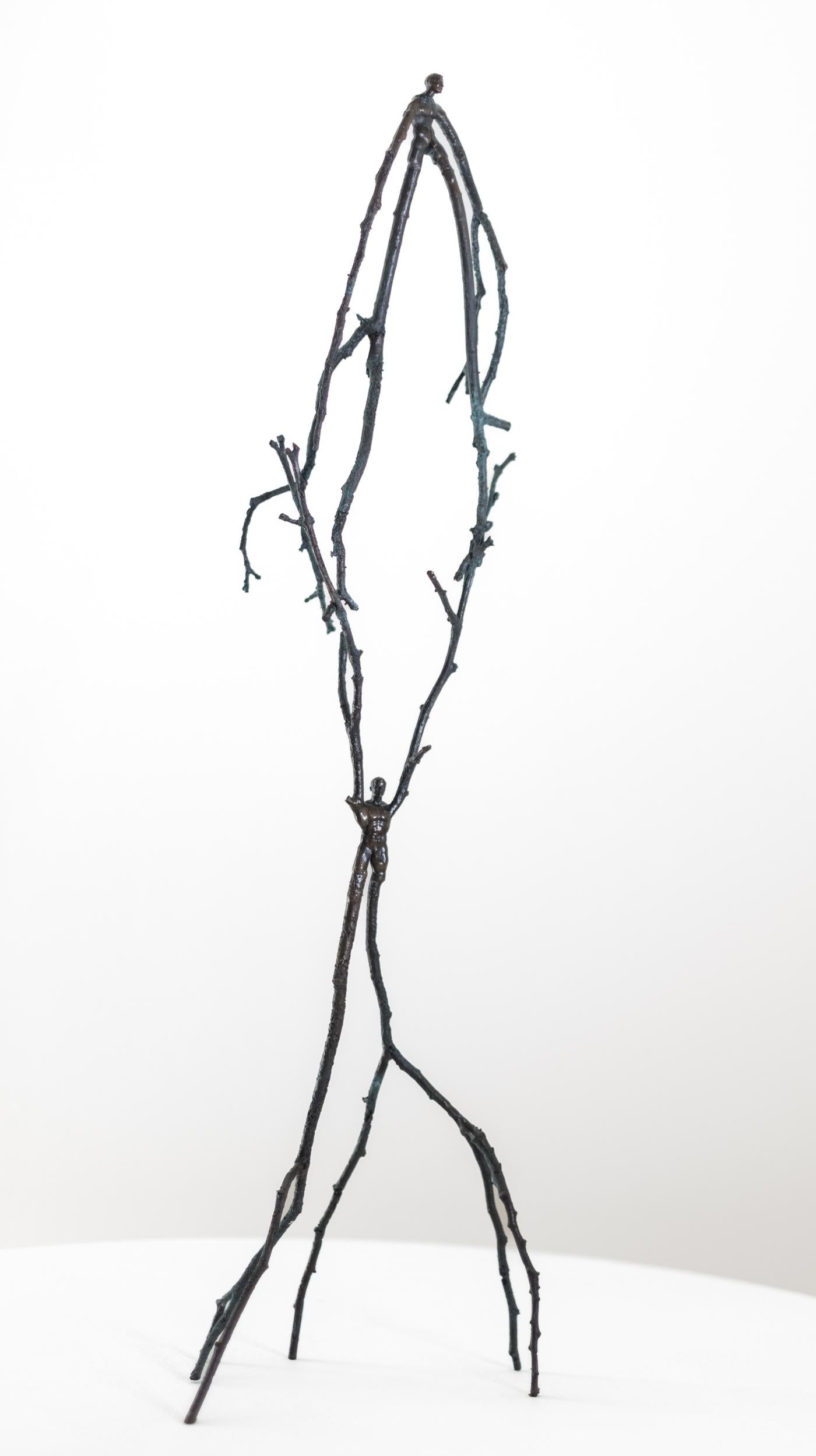 Questa scultura figurativa in bronzo per interni nasce dall'immaginazione dell'artista canadese Roch Smith.

Le ingegnose sculture di Roch Smith sono spesso ispirate a immagini, forme e texture presenti in natura. Questa è una delle serie in corso