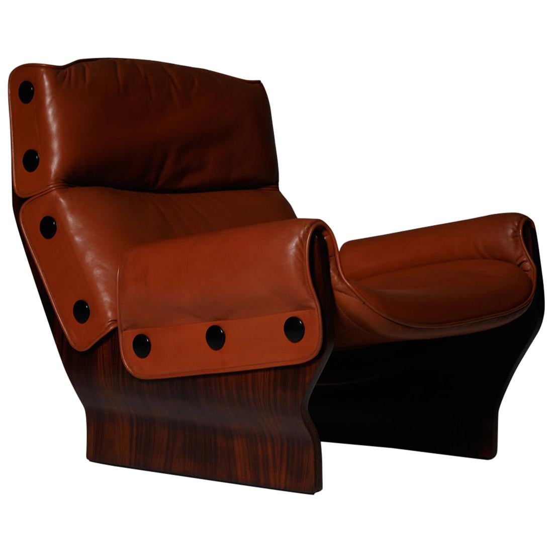 P110 ‘Canada’ lounge chair by Osvaldo Borsani for Tecno