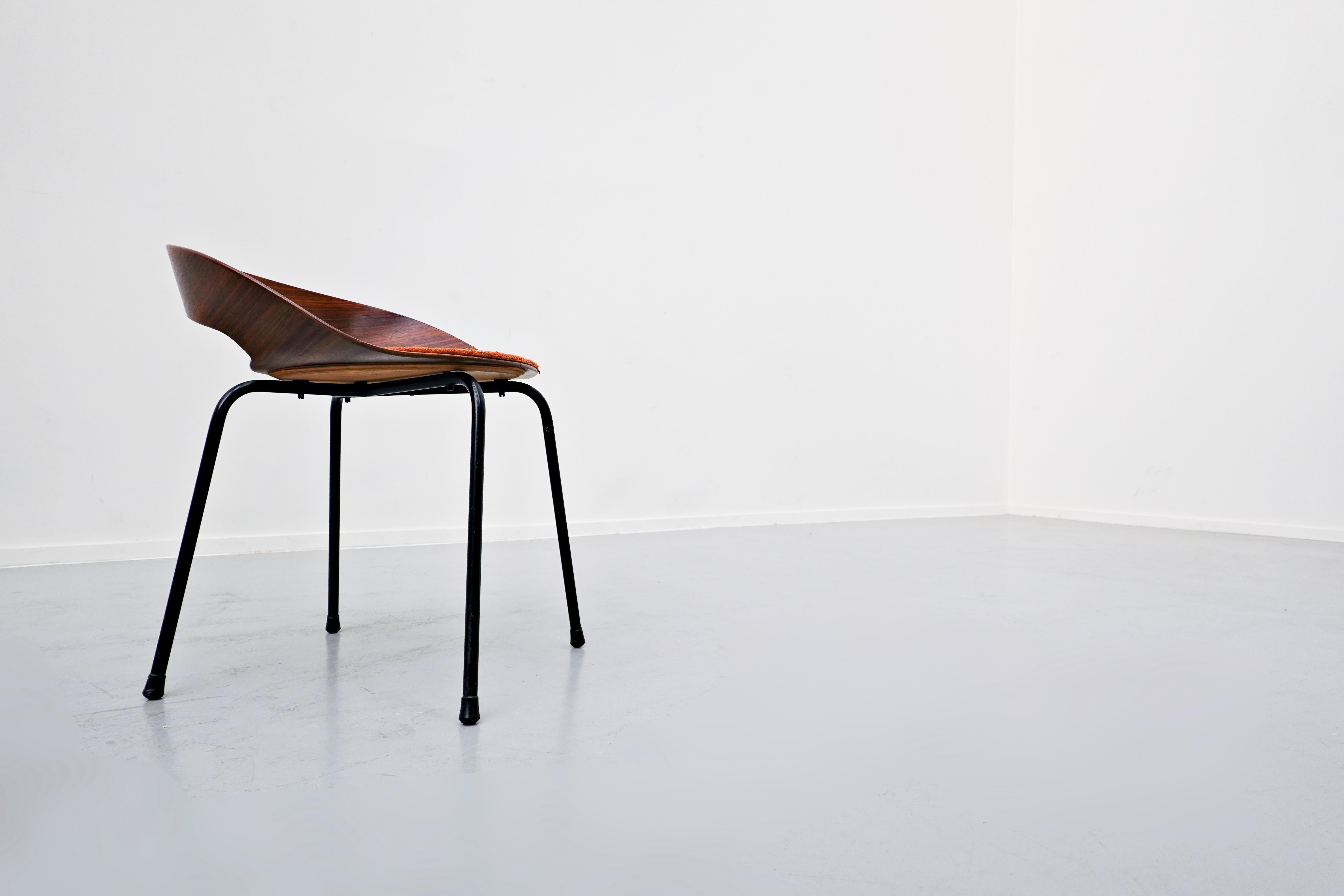 Italian PA1 Chair by Luciano Nustrini, Mid-Century Modern, 1957