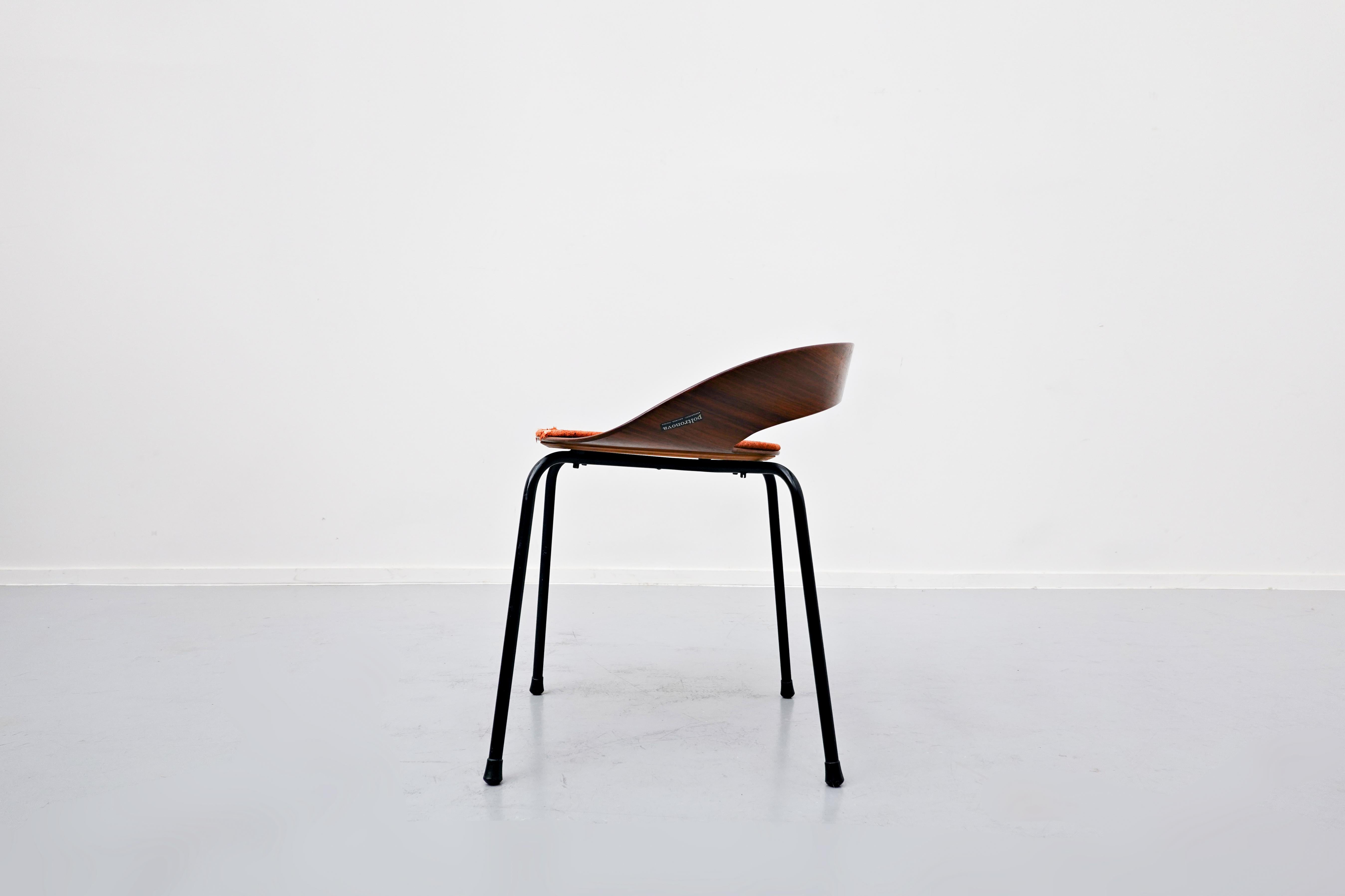 Mid-20th Century PA1 Chair by Luciano Nustrini, Mid-Century Modern, 1957